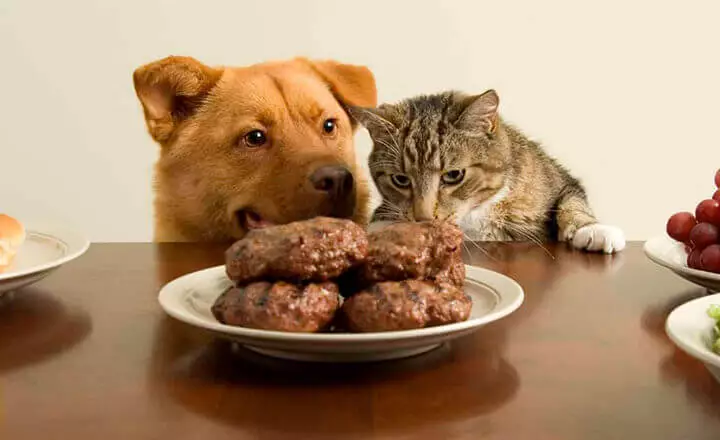 как сотрудники воруют у малого бизнеса